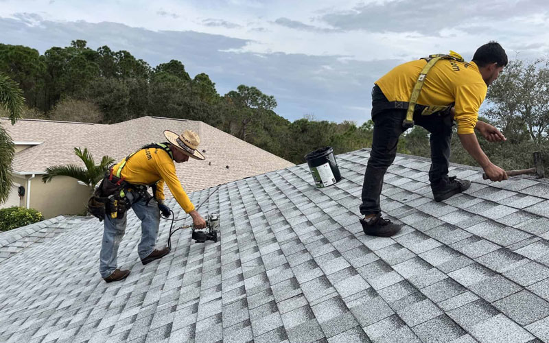 Roof Repairing Services In Himachal Pradesh